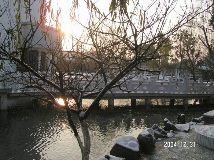 2004年的最后一场雪