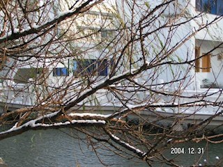 2004年的最后一场雪