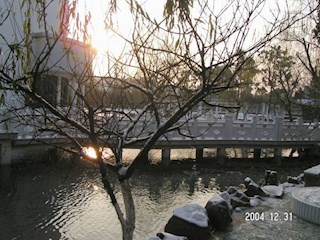 2004年的最后一场雪