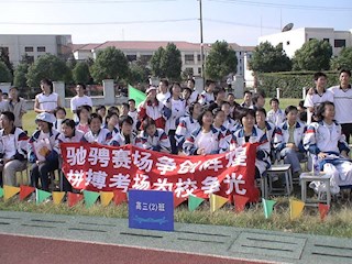 十一届运动会照片